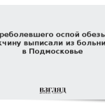 Переболевшего оспой обезьян мужчину выписали из больницы в Подмосковье