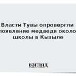 Власти Тувы опровергли появление медведя около школы в Кызыле