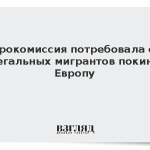 Еврокомиссия потребовала от нелегальных мигрантов покинуть Европу