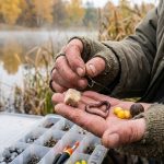 Стали известны лучшие осенние приманки для карася: на что клюет в холодной воде