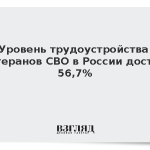Уровень трудоустройства ветеранов СВО в России достиг 56,7%