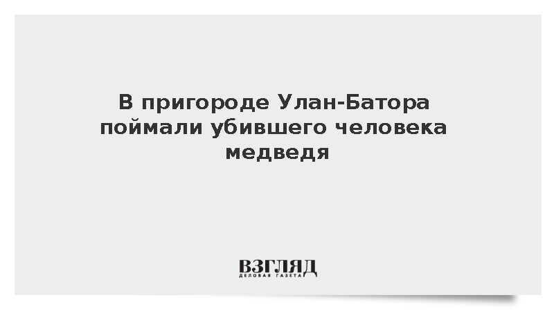В пригороде Улан-Батора поймали убившего человека медведя
