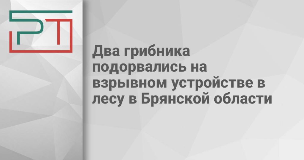 Два грибника подорвались на взрывном устройстве в лесу в Брянской области