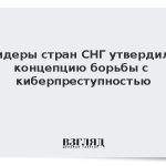 Лидеры стран СНГ утвердили концепцию борьбы с киберпреступностью