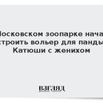 В Московском зоопарке начали строить вольер для панды Катюши с женихом