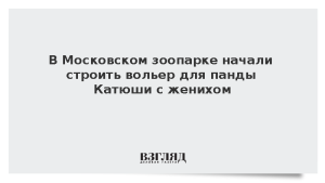 В Московском зоопарке начали строить вольер для панды Катюши с женихом