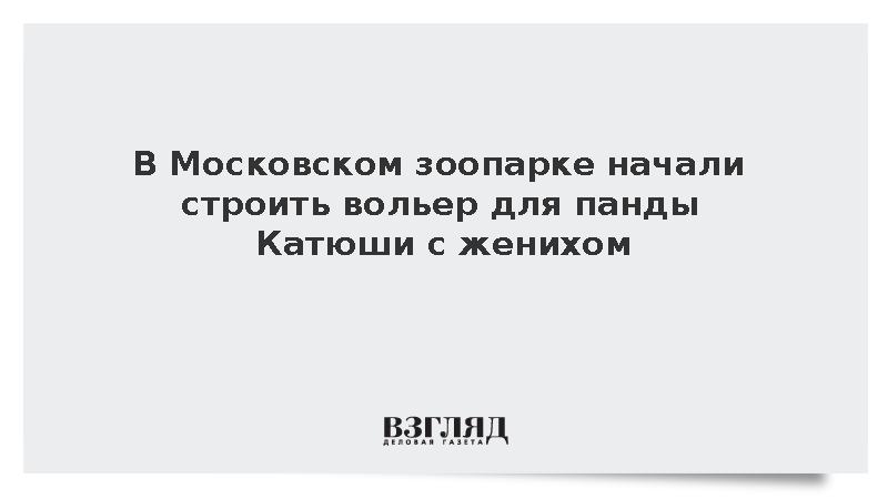 В Московском зоопарке начали строить вольер для панды Катюши с женихом