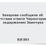 Захарова сообщила об отсутствии ответа Черногории по задержанию Звинчука