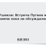 Ушаков: Встреча Путина и Трампа пока не обсуждалась