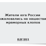 Жители юга России пожаловались на нашествие мраморных клопов