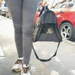 В Нижнекамске спасли кошку, месяц прожившую в квартире без еды после похорон хозяина