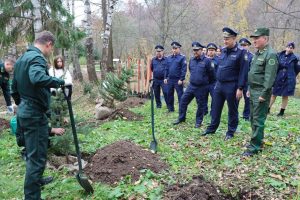 «Сохраним лес»: более 40 елей и рябин высадили на Голубых озерах под Казанью