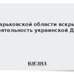 В Харьковской области вскрыли деятельность украинской ДРГ